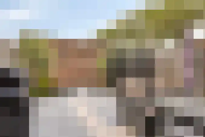 Carterlaan 36 Goes thumbnail 29