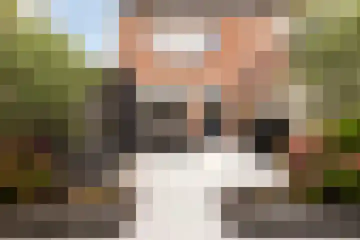 Carterlaan 36 Goes thumbnail 32