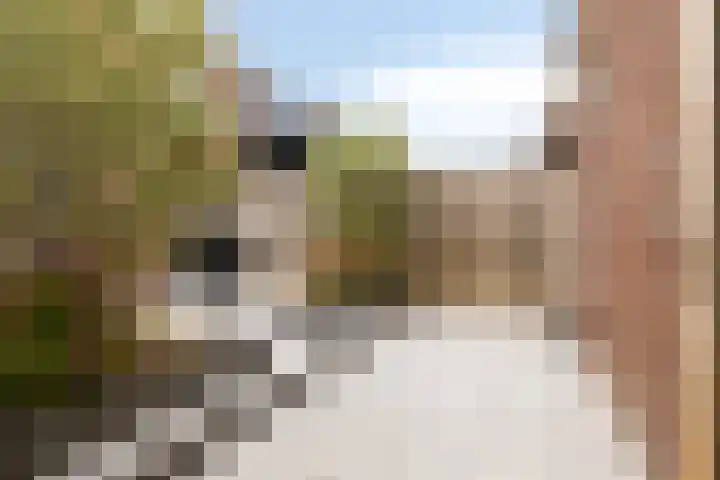 Carterlaan 36 Goes thumbnail 33