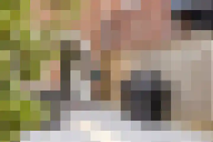 Carterlaan 36 Goes thumbnail 34