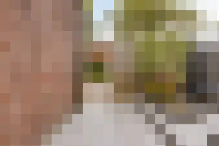 Carterlaan 36 Goes thumbnail 35