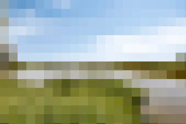 Carterlaan 36 Goes thumbnail 39