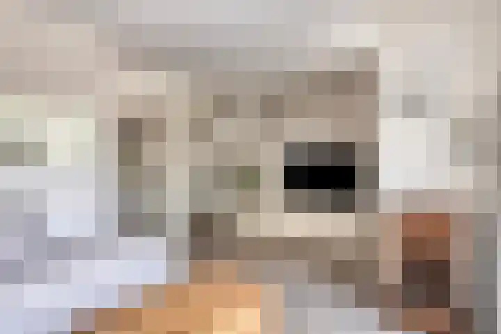 Carterlaan 36 Goes thumbnail 4