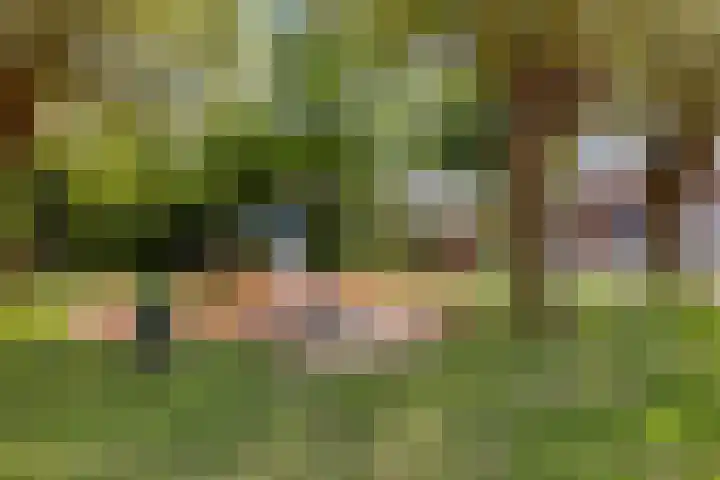 Carterlaan 36 Goes thumbnail 40