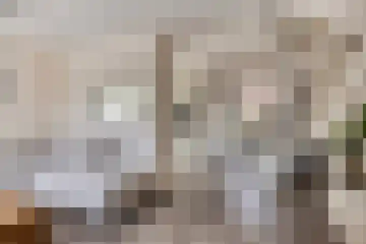Carterlaan 36 Goes thumbnail 6