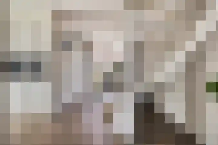 Carterlaan 36 Goes thumbnail 7