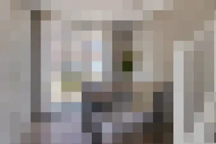 Carterlaan 36 Goes thumbnail 8