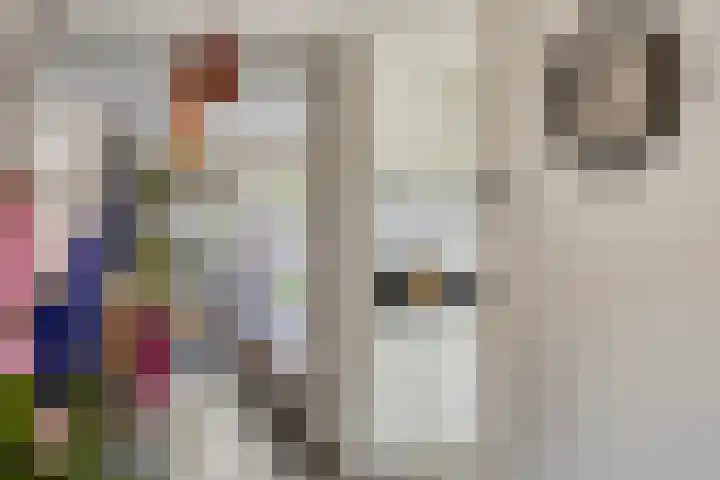 Carterlaan 36 Goes thumbnail 9