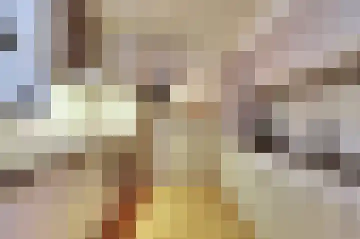 Carterlaan 51 Goes thumbnail 10