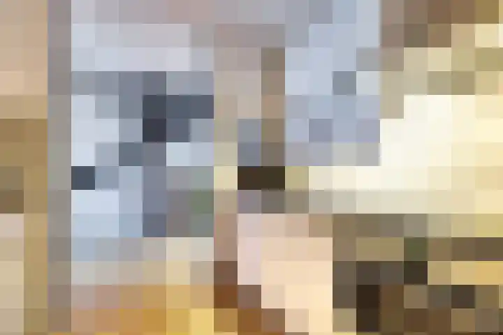 Carterlaan 51 Goes thumbnail 11