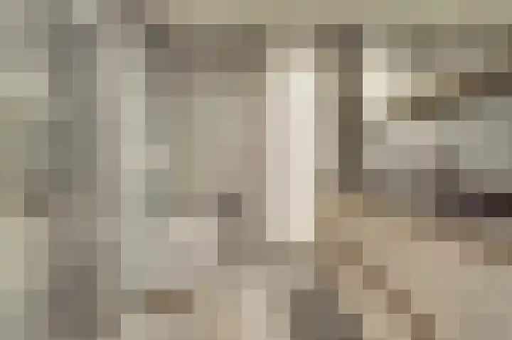 Carterlaan 51 Goes thumbnail 18