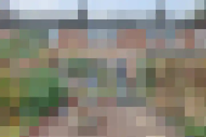 Carterlaan 51 Goes thumbnail 23