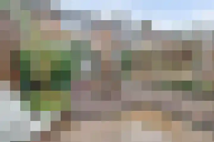 Carterlaan 51 Goes thumbnail 25