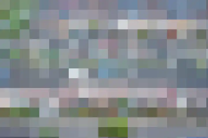 Carterlaan 51 Goes thumbnail 29