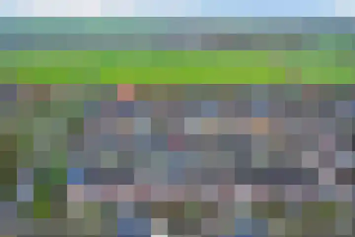 Carterlaan 51 Goes thumbnail 30