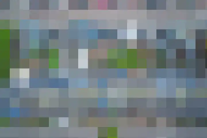 Carterlaan 51 Goes thumbnail 31