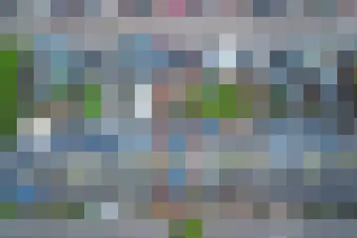 Carterlaan 51 Goes thumbnail 33