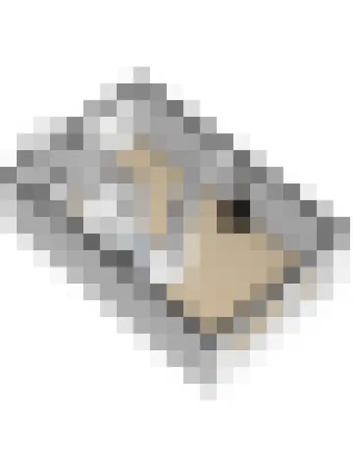Carterlaan 51 Goes thumbnail 40
