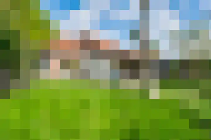 Casino 23 Thorn thumbnail 22