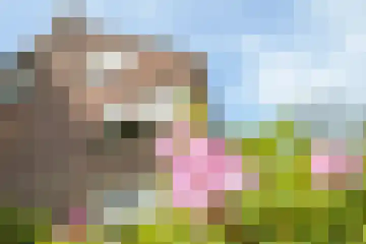 Caspersstraat 27 Opheusden thumbnail 4