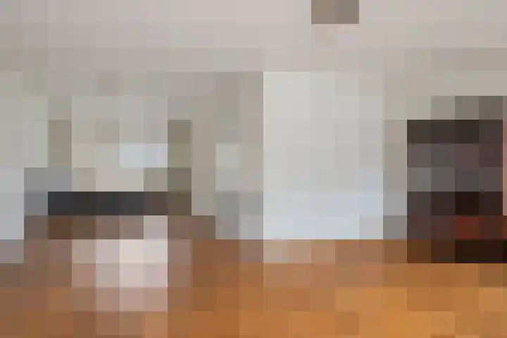 Castaert 6 Oirschot thumbnail 11