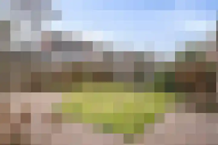 Castaert 6 Oirschot thumbnail 31
