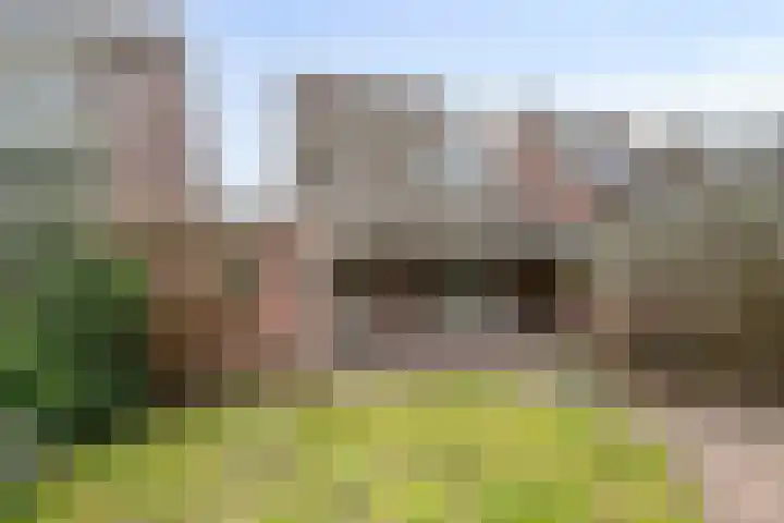 Castaert 6 Oirschot thumbnail 35