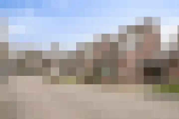 Castaert 6 Oirschot thumbnail 6