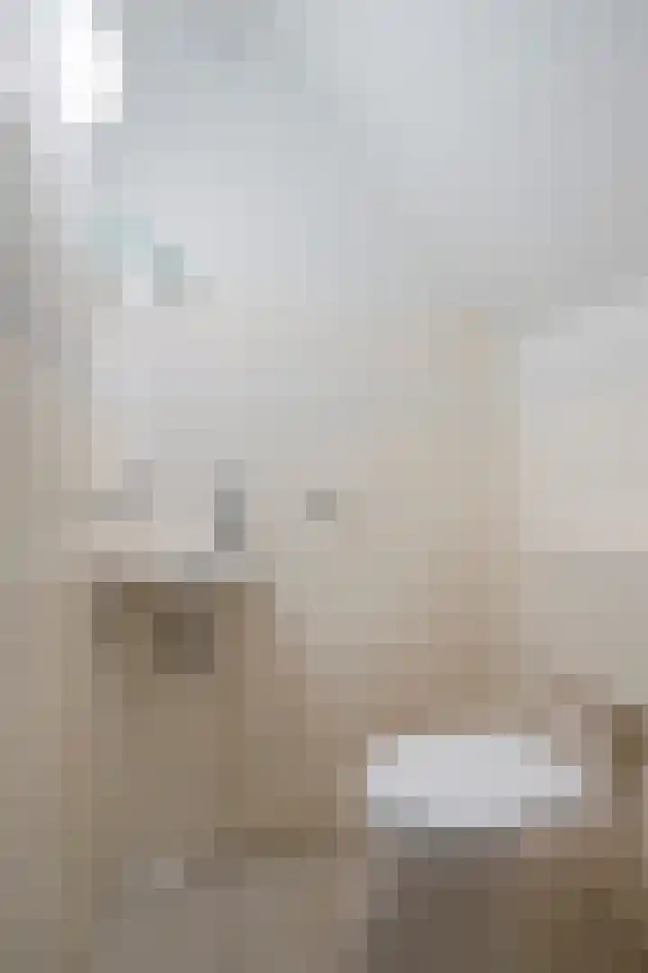 Castaert 6 Oirschot thumbnail 9