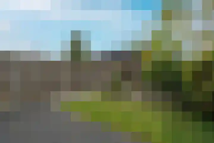 Castiliëstraat 105 Lent thumbnail 23