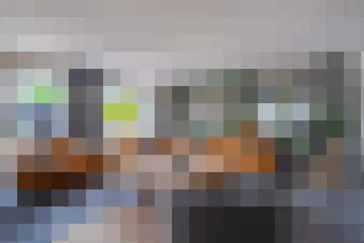 Castor 19 Duiven thumbnail 12