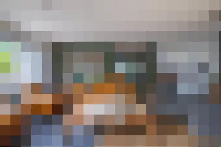 Castor 19 Duiven thumbnail 13