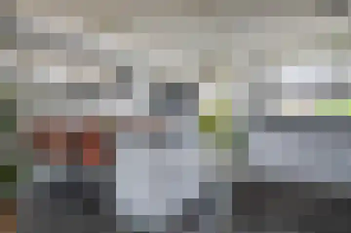 Castor 19 Duiven thumbnail 16