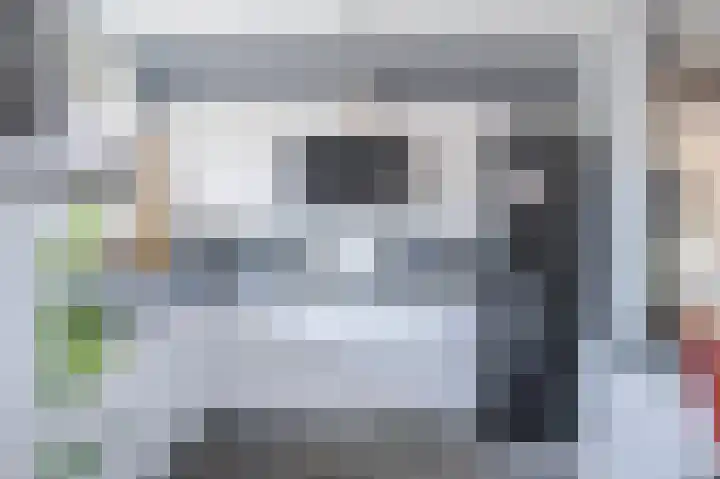 Castor 19 Duiven thumbnail 18