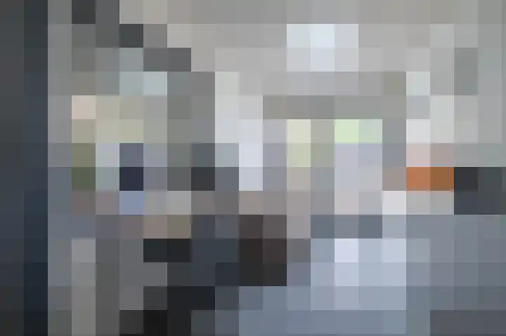 Castor 19 Duiven thumbnail 22