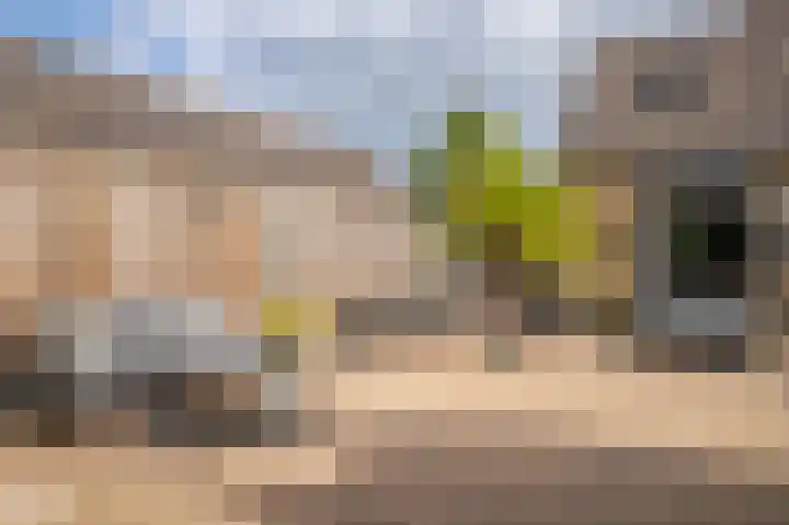 Castor 19 Duiven thumbnail 24