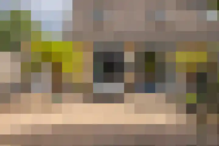Castor 19 Duiven thumbnail 25