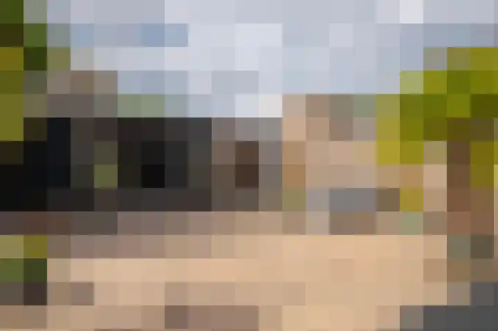 Castor 19 Duiven thumbnail 26