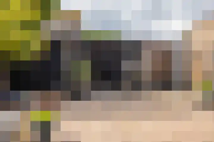 Castor 19 Duiven thumbnail 27