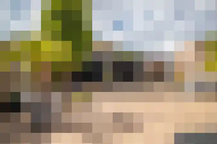 Castor 19 Duiven thumbnail 28