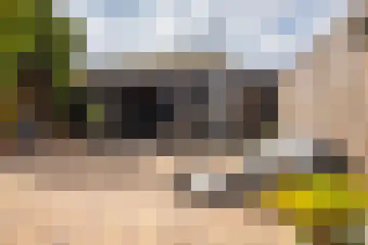 Castor 19 Duiven thumbnail 29