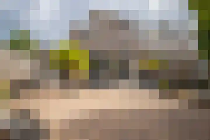 Castor 19 Duiven thumbnail 30