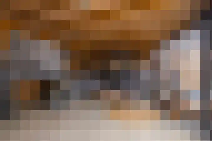 Castor 19 Duiven thumbnail 31
