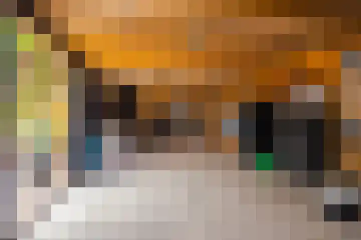 Castor 19 Duiven thumbnail 32