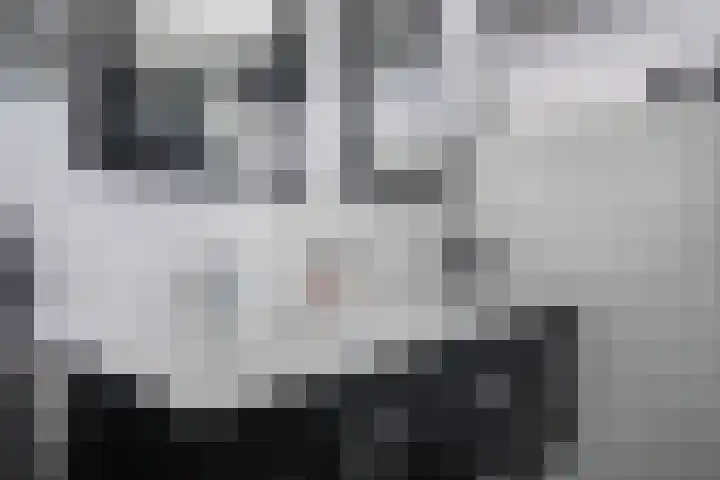 Castor 19 Duiven thumbnail 39