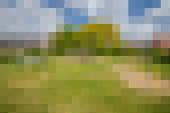 Castor 19 Duiven thumbnail 42