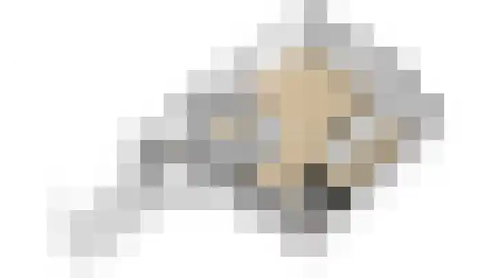 Castor 19 Duiven thumbnail 45