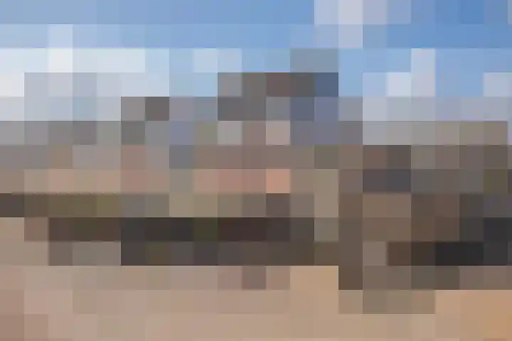 Castor 19 Duiven thumbnail 6