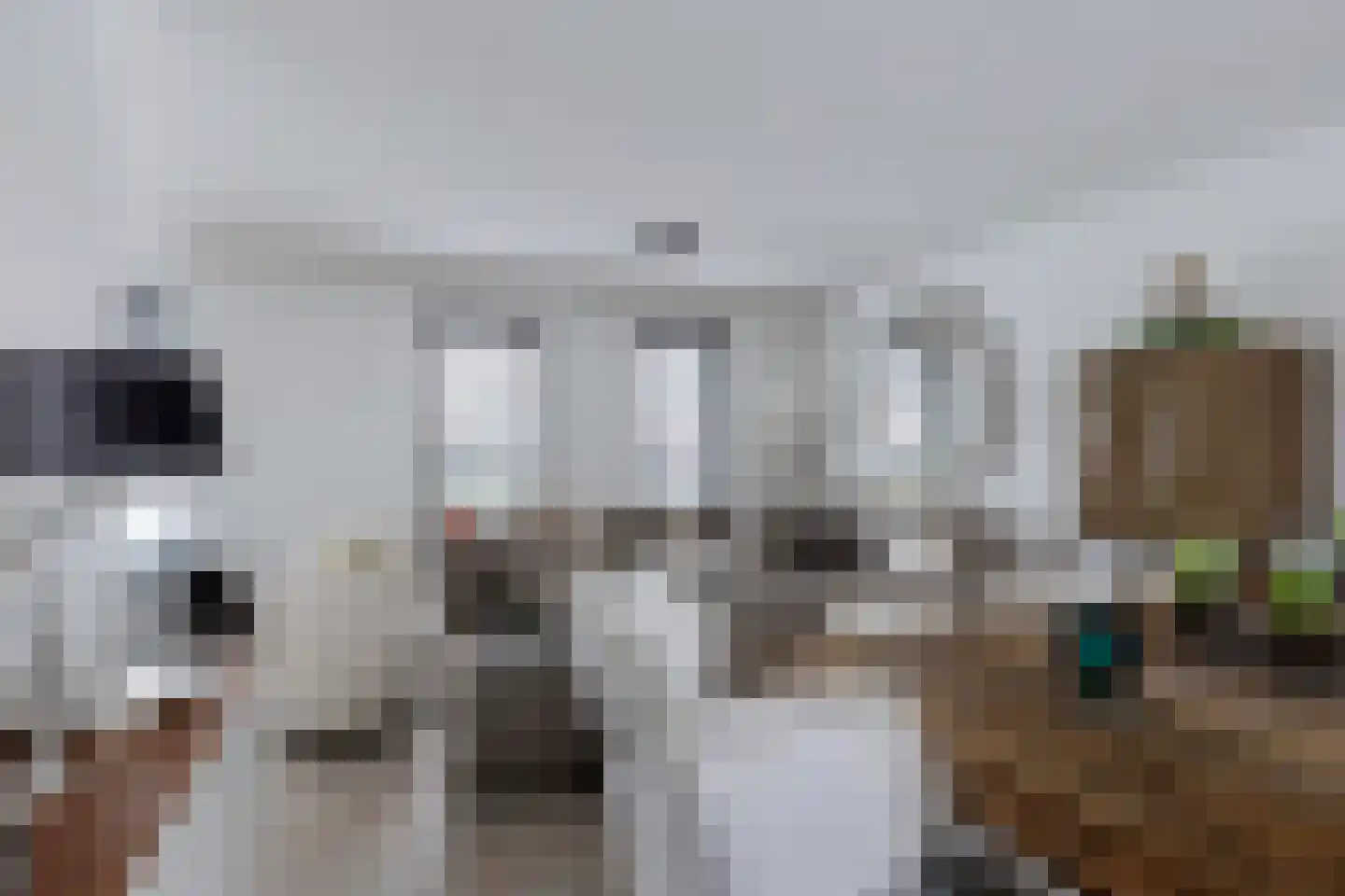 Castrumstraat 14 Naaldwijk thumbnail 10