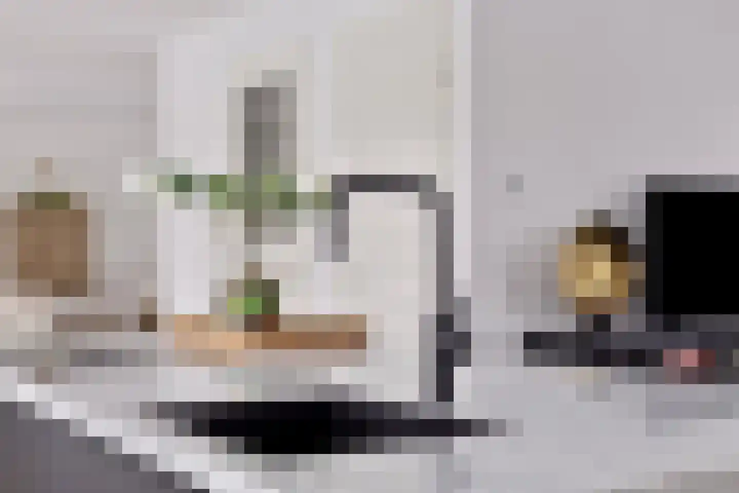 Castrumstraat 14 Naaldwijk thumbnail 20